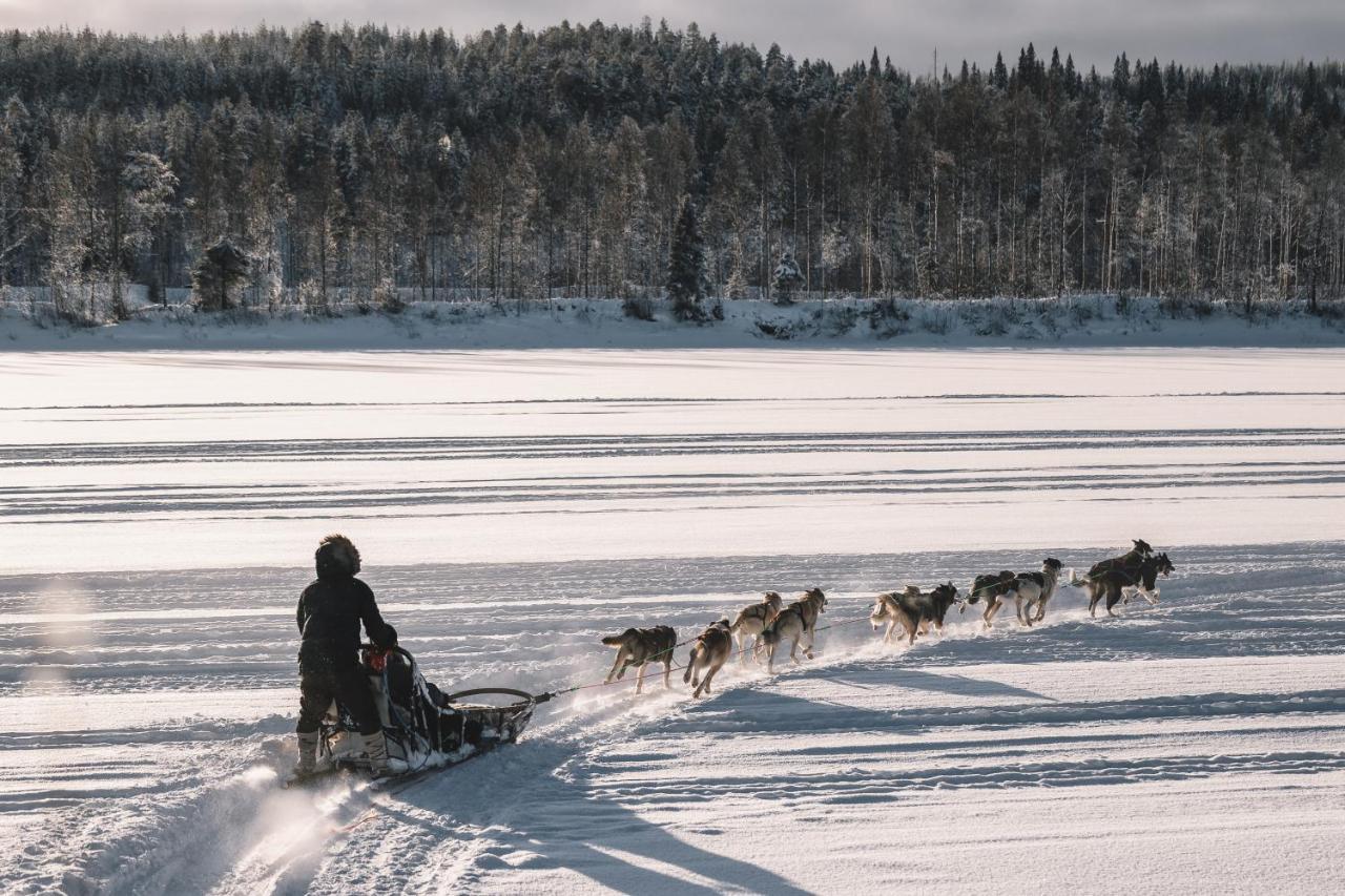 Nova Galaxy Village Rovaniemi Eksteriør billede