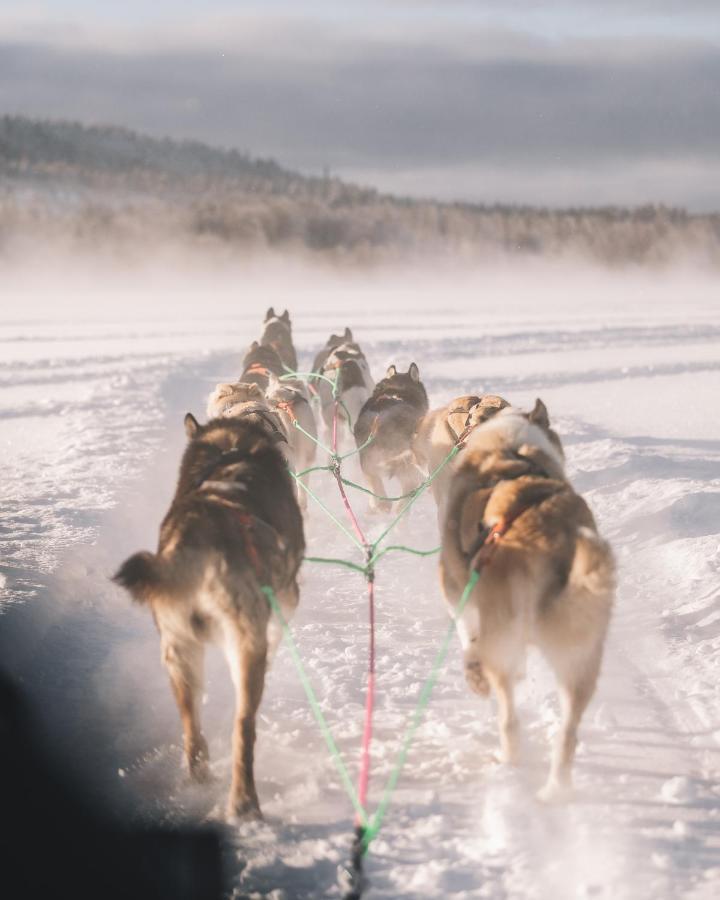 Nova Galaxy Village Rovaniemi Eksteriør billede