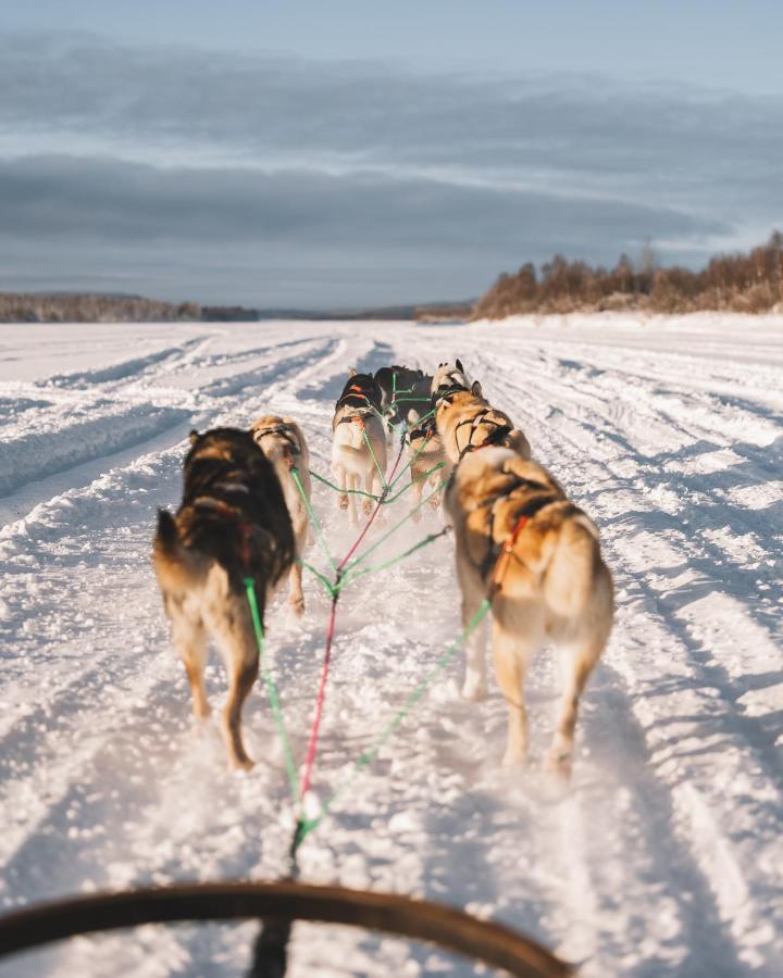 Nova Galaxy Village Rovaniemi Eksteriør billede