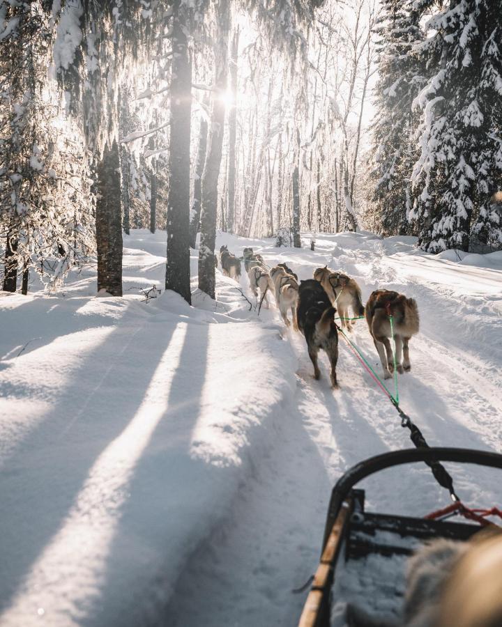 Nova Galaxy Village Rovaniemi Eksteriør billede