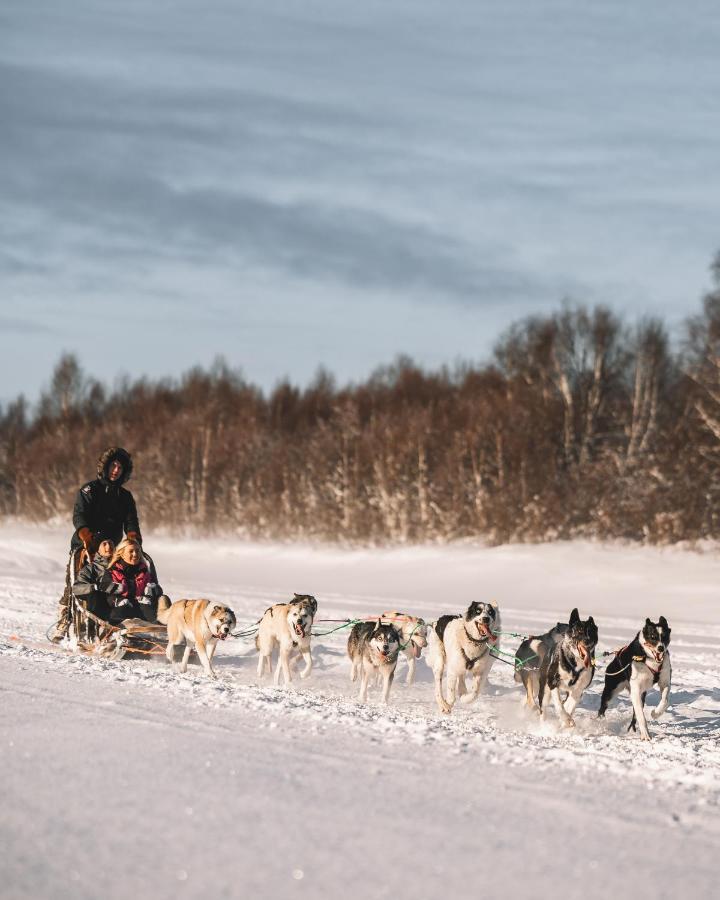 Nova Galaxy Village Rovaniemi Eksteriør billede