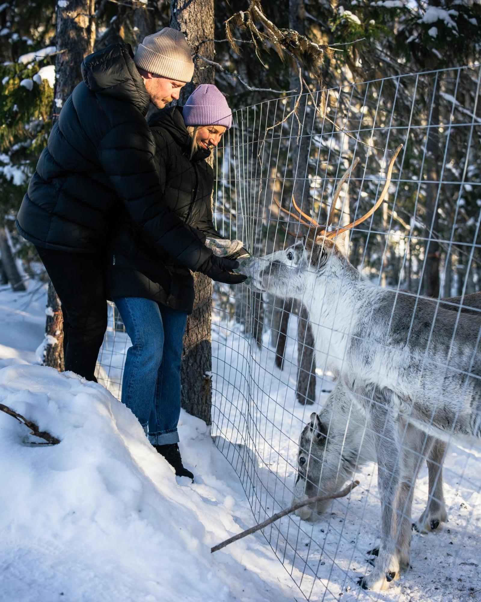 Nova Galaxy Village Rovaniemi Eksteriør billede